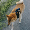 日曜も爽やかないい天気