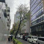 理系弁護土の何でもノート２．５