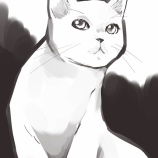 猫の練習などしました