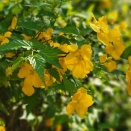 高校野球の「増量」と「休養」のリアル。指導現場で感じた、成長期に必要な時間の使い方