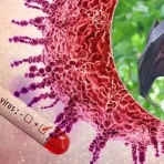 サイエンスジャーナル