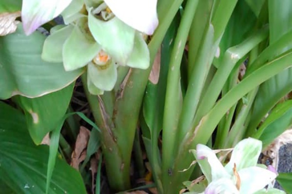 民芸家具 輸入住宅建材 山あり 谷あり 努力あり 年09月