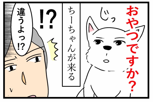 ちーちゃんです。 ちーちゃんですけどもっ第2巻発売中です❗️ (@ymc_cheezu) / X