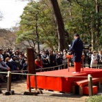 つっちゃんの絵日記