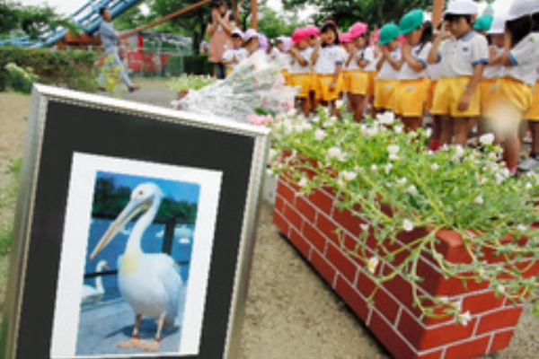 園児と遊んだカッタ君 早世 We Re In The Same Boat Now