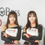 BXONEウォレット 日本語解説ブログ