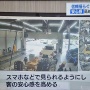 中古車の『ガリバー』がビッグモーターのせいで1秒もサボれない神システム導入し社員大迷惑ｗｗｗｗｗｗｗｗ