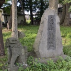 おひさまの煌めき