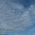 今朝の雲