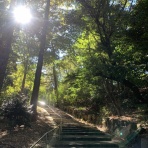 20キロ痩せるまでやめません！　～更年期へとへとダイエット～