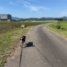 外での作業は避けてください