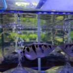 アクアプラザ都屋