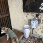 引っ張りダコなミュージシャンへの道２