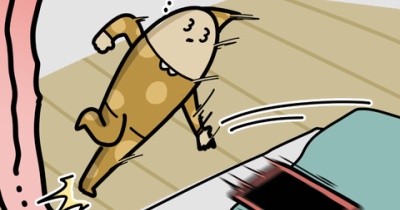 最近、寝ぼけすぎている