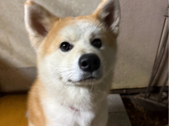 今夜も大雨注意報‼️