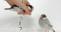 歌って乗り越えよう