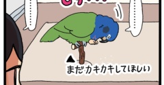 人間とトリの攻防戦 〜無限カキカキ編〜