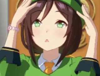【ウマ娘】どうしてたづなさんは頑なにウマ娘を隠しているのだろうか