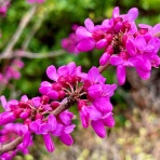    のぶちゃんのぴくにっく～♪(●^o^●)