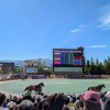 JRA¡Á20ǯ°Ê¾å¤Ö¤ê¤Î»¥ËÚ¶¥ÇϾì¡Á