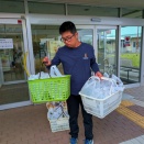 葉物野菜の収穫が始まりました(^O^)…サンチュ、リーフレタス💚