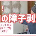 【リラックマ障子紙】大柄・総柄どっち?楽天4,378円で障子何枚貼れるか調査