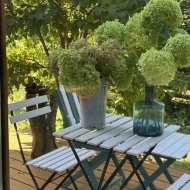 【インテリア】今夏の庭の思い出作りは豪華なこの花が活躍中♪