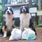 ひろいびと 清掃登山犬達と三重県の山ゴミ拾い清掃活動記録