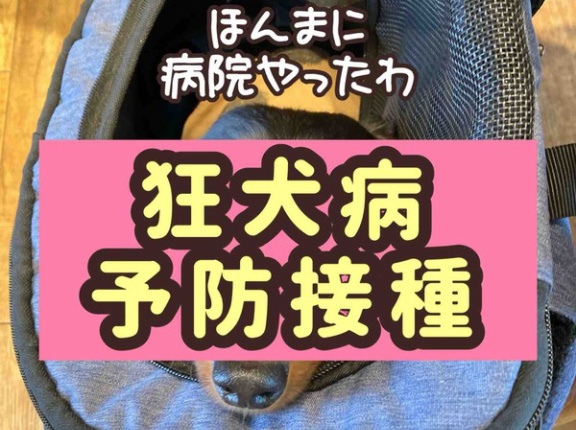 ポコちゃん初受診。