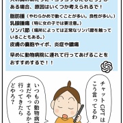 愛犬ティアラの手術記録①見つけてくれた人
