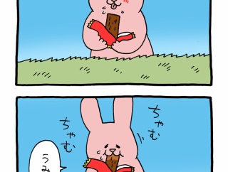 スキウサギ「野生のウサギ」