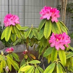    のぶちゃんのぴくにっく～♪(●^o^●)