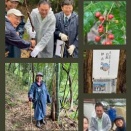 伊古奈桜の植樹