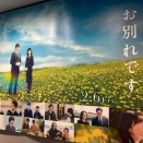 レイトショーで観た映画のこと