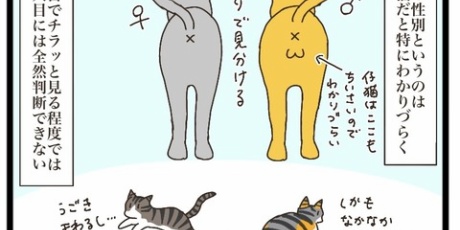 猫の手貸して Powered by ライブドアブログ