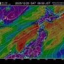寒鰤釣り悪天で欠航
