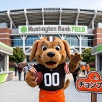 🐕 茶犬 🐕 NFLブログ