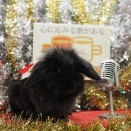 12月29日のグルーミングフォト