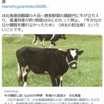 【鉄道】牛が線路に迷い込み80分停車　牧場から脱走か　「牛がなかなか線路を離れなかった」JR北海道