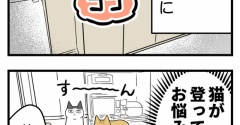 【猫マンガ】猫がいる家のキッチン問題
