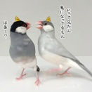 豆まきがしたいから