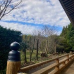 奥万倉の萬福寺blog