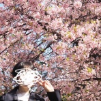 happy-go-lucky　-心地いい暮らしのコツ-