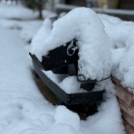  Every day is a good day