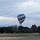12月22日　今日の業務予定と気球とネコ