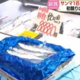 【北海道釧路港】初水揚げされた“旬のサンマ”1匹8万8880円の高値で6匹店頭に売りに出される…客の男性が6匹全部を購入し即完売_初競りは1キロ44万円