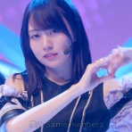 乃木坂46のテレビとラジオ