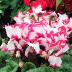 和田周平ブログ