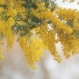 長崎＠諫早市民 ふくちゃんの食う・寝る・遊ぶ日記