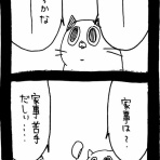 ﾈｺﾁｬﾝのﾆﾝｹﾞﾝ育成日記